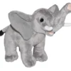 Wild Republic Wild Calls Elephant Stuffed Animal, 8 Inches 2 Wild Republic Wild Calls Elephant Stuffed Animal, 8 Inches -Wild Republic GUEST 5f8ef477 743d 4afb 9a60 e8eb9fef0c34
